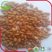 California Almond 27/30, Almond Kernel